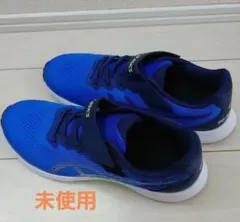 新品同様！アシックス　ジュニアスニーカー　25cm