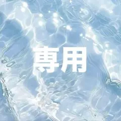 さなだ家様 専用