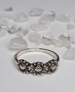 Item thumbnail for item 21d87dde-45d3-4b93-adb5-16d064eb2e38