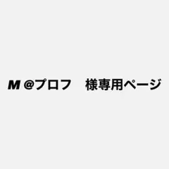 専用ページ