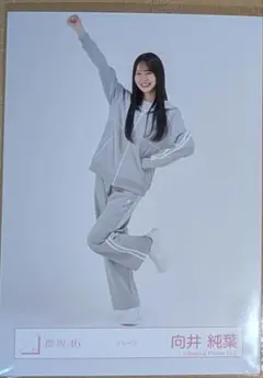 Item thumbnail for item 50561c86-9733-4b52-91d6-7f954167530d