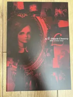 ABC AcidBlackCherry yasu Erectツアーパンフレット ABC AcidBlackCherry yasu Erectツアーパンフレット ABC