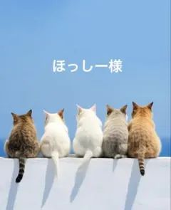 ほっしー様ꔛ‬ෆ専用ページ