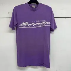 Tシャツ大放出! Hanes Fifty-Fifty ヴィンテージTシャツ M