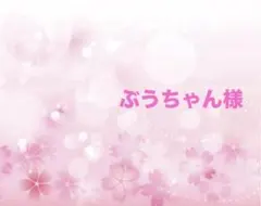 ぶうちゃん様専用