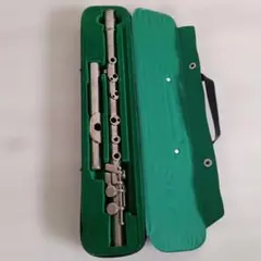 Item thumbnail for item cfffb971-9485-4750-8f09-71bf30daacf4