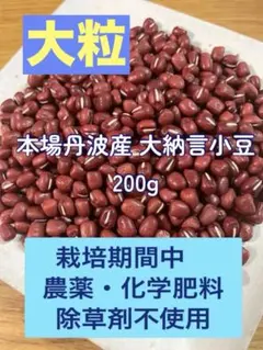 【農薬・化学肥料・除草剤不使用】令和7年度産 丹波産 大納言小豆500g 農薬・化学肥料・除草剤不使用】令和7年度産 丹波産 大納言小豆 - メルカリ