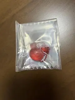 TWICE LOVELYS ❤︎グミ＆チャーム ポーチつき　チェヨン