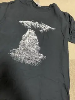 Festerdecay デスメタル　ゴアグラインド バックプリントあり　L