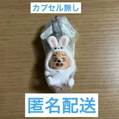 ハンクオッカ　skzooつまんでつなげてマスコット　カプセルトイ