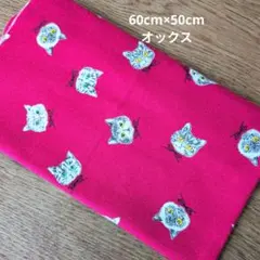 ねこ　コットン生地　オックス
