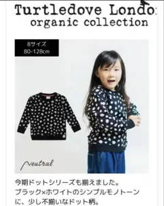 Item thumbnail for item 5f331759-31cc-4a1e-b4e5-bb9508a7c952