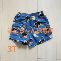 patagonia バギーズショーツ 3T