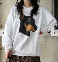 vintage スウェット　FRUIT OF THE LOOM アメリカ製