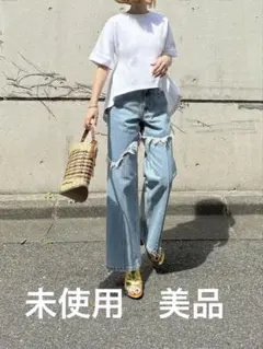 新品未使用タグ付】Cygne シーニュ エンビトップス ホワイト 半袖 完売