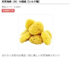 天然海綿　大　6個
