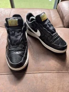 NIKE エアフォース 1 DZ5070-010 ブラック 26cm