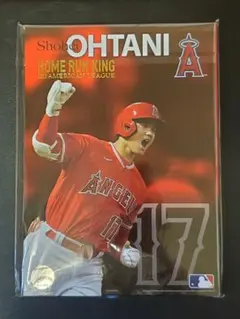 Item thumbnail for item 4cd385d8-4b25-485b-a18b-054687d365fc