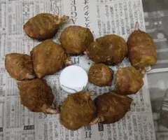 ファーガソン様 リクエスト 3点 まとめ商品