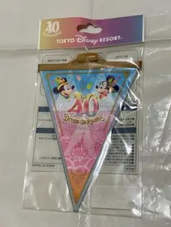 Disney - ディズニー　ガーランド ハロウィーンのカーズランド🚗⚡️ いつもとは違う怪しげな