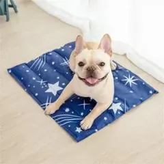 ペット用ひんやりクールマット 冷却ジェル 犬猫兼用 夏用 熱中症対策 （M）のサムネイル