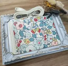 Item thumbnail for item 6c45bfd2-44e2-49b8-b92d-9fc214ecbd8c