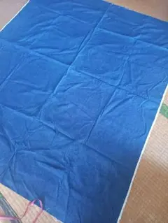 Item thumbnail for item d6c46fbd-7cdb-44b3-ac48-b99aacec1859