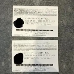 USJ 大人用チケット 2025年4月〜2026年3月のサムネイル