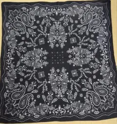 Item thumbnail for item 33b9abab-8516-423c-beb5-f748d2f736f6