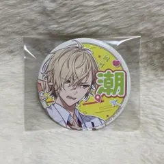 新品☆あんスタ☆流星隊【高峯翠】海の家の味方☆缶バッジ☆2点セット