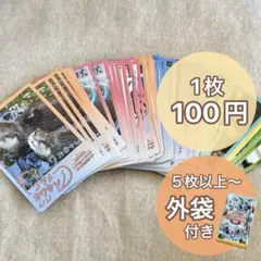 バラ売り100円】鳥羽水族館 コレクションカード（とレカ） - メルカリ
