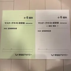 Item thumbnail for item 47ad78a5-a988-46d8-a2d9-d9568fb496a6