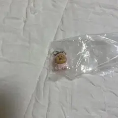 こびとづかん めじるしアクセサリー カクレモモジリ 新品未使用未開封