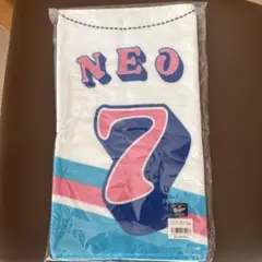 Item thumbnail for item 6cbcc437-5810-4879-a0a9-29952fde49dc