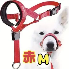 Item thumbnail for item 874b33d9-8a2c-485d-8686-2c1b4bcbc9aa