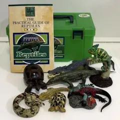カロラータ 立体図鑑　レプタイルボックス　絶滅危惧種／爬虫類