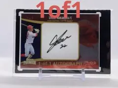 Item thumbnail for item 830ebc55-c67c-4d49-b014-3730cbf1f653