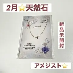 【誕生日石】 2月 天然石 アメジスト ネックレス ⭐️新品・未開封