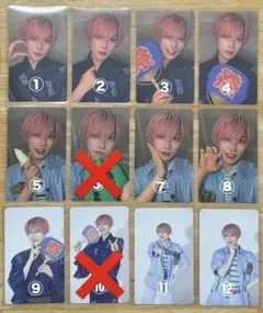 パンダドラゴン たいが トレカ