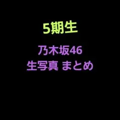 乃木坂46 生写真 まとめ売り 井上和