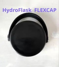 Item thumbnail for item 81c740df-d41d-41b0-91d9-2391603bec4f