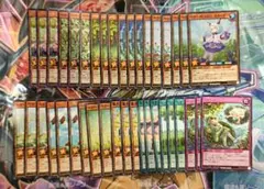 ベリーフレッシュ デッキ 初めての 遊戯王 ラッシュデュエル - メルカリ
