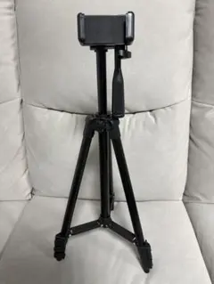 Item thumbnail for item 8a94a783-9caa-408a-a545-e65c4ee5eaed