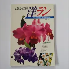 江尻光一のはじめての洋ラン - メルカリ