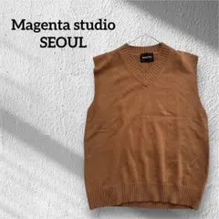 Magenta studio ブラウン　ニットベスト　FREEサイズ　韓国