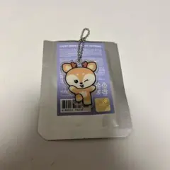 SEVENTEEN MINITEEN ジョシュア