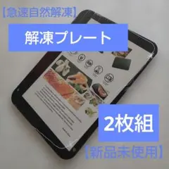 【急速自然解凍】食材のおいしさそのまま　解凍プレート　電源不要　キャンプBBQ②のサムネイル