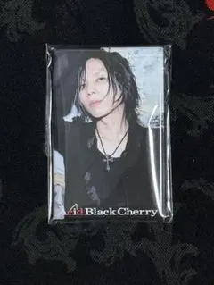 2025年最新】acid black cherry yasuの人気アイテム - メルカリ