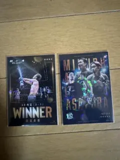 RIZINコレクションリアルカード 朝倉未来