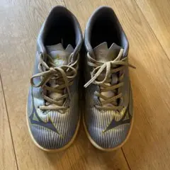 Mizuno フットサル　インドアシューズ　21センチ